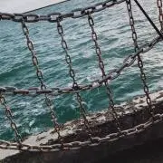 yoyo