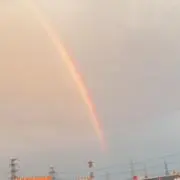 みーの画像