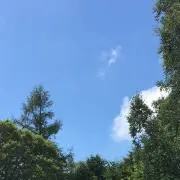 Sunnyの画像