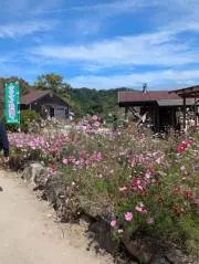 Risaの画像