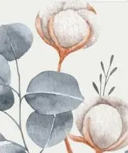 Image of さあや