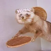 るのわーるの画像