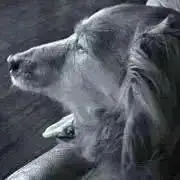 merciヴィンテージは一期一会