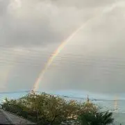 たま【プロフ一読お願いします】の画像