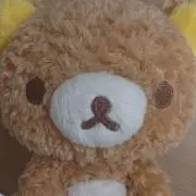Lapiの画像