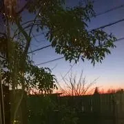 R-O(フォローお願いします♪)の画像
