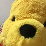あべちゃんの画像