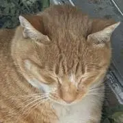 おぼぎ♡ものにより値下げ交渉可