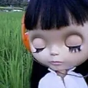 さらの画像