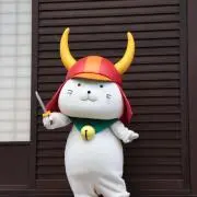 碧銀のハクの画像