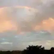 ぴよ。