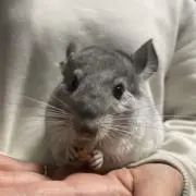 むーさんの画像