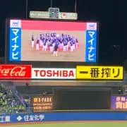 みっしぇる