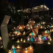 Mimosaの画像