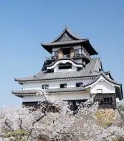 すけまるの画像