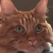 よっち