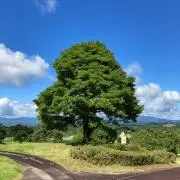 ちぃ姉