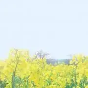 ホ。の画像