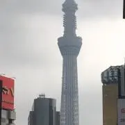 まっすー値下げ可