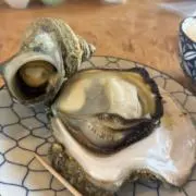 ダイクーン