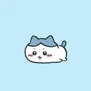 ゆーの画像