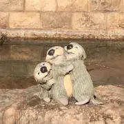 Wの画像