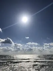 フィンランディの画像