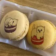 ゆっこの画像