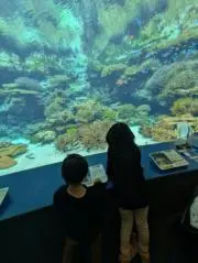 Y.Rの画像