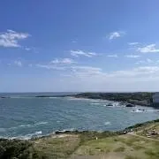 はち  プロフ必読の画像