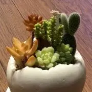 KoBaの画像