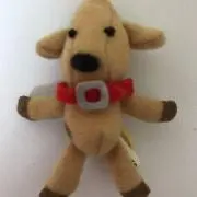 おなつの画像