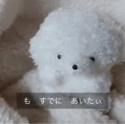 シャム