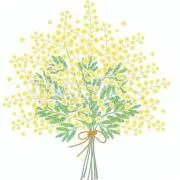 ゆき★ お値下げおまとめ応対可能お気軽にの画像