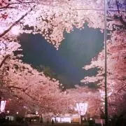 桜凛