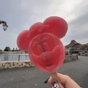 サー ❤︎の画像