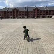 T .Mの画像
