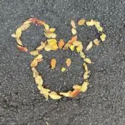 は る かの画像
