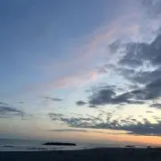 ちこりーぬの画像