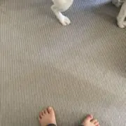にょにょの画像