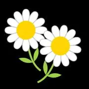 マーガレットの画像