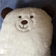 シロクマの画像