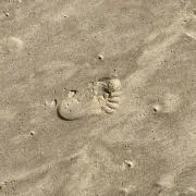 むむむの画像