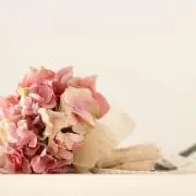 さきの画像