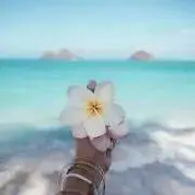Lalaの画像