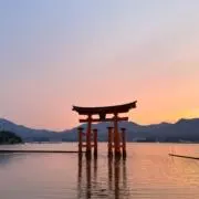 いわいずみの画像