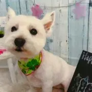 なんしゃん