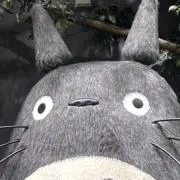 Sa_ya1127の画像