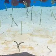アニー♡の画像