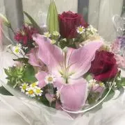 はんなりー京都